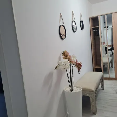 Apartment Toronto Deluxe Timisoara